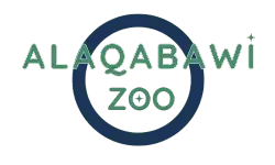 AlAqabawi animals Exports